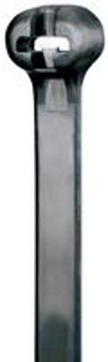 Alt_1000859
